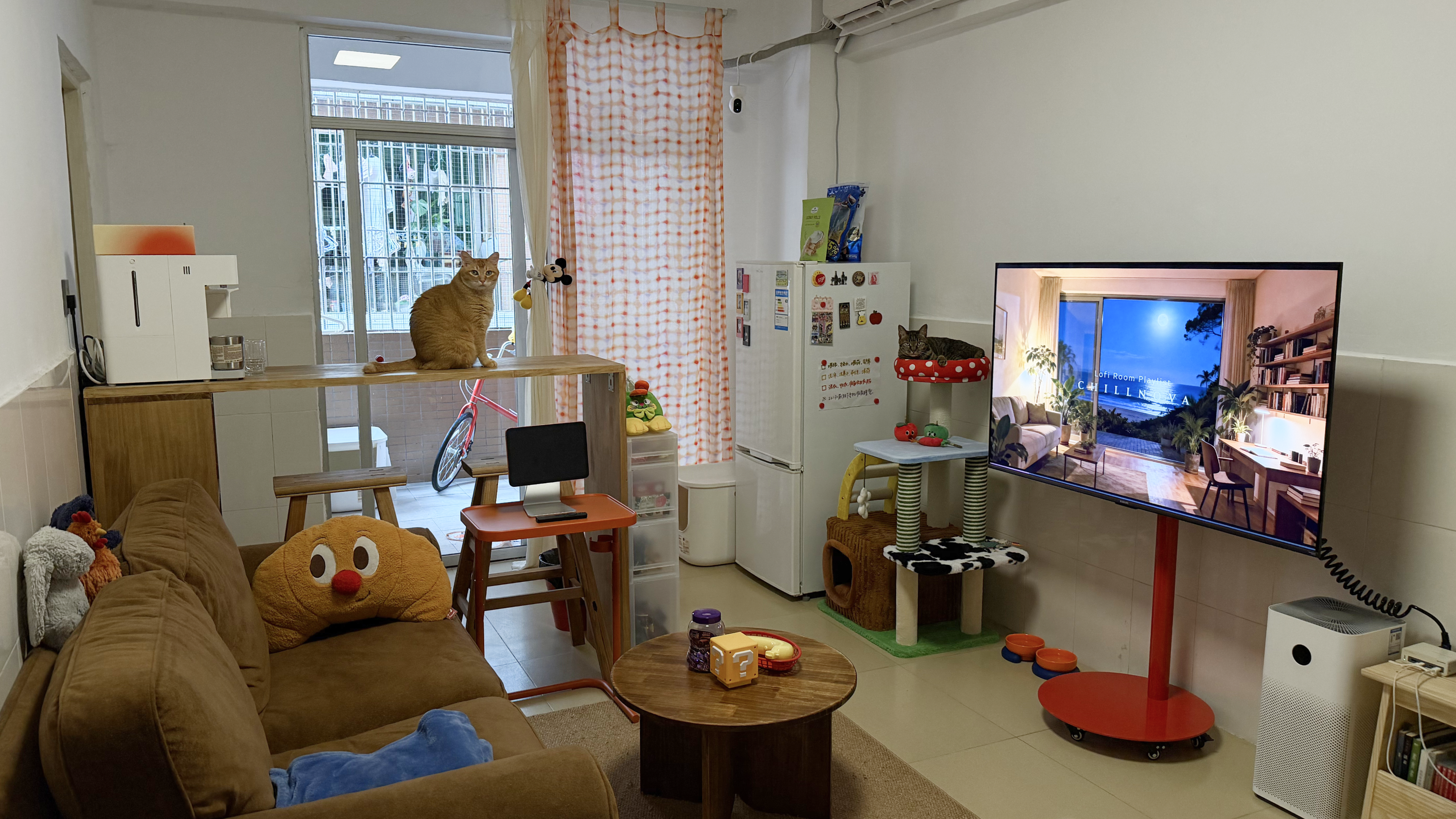2025 年深圳出租屋一角